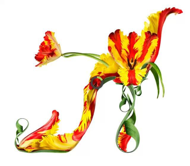家居裝修創(chuàng  )意